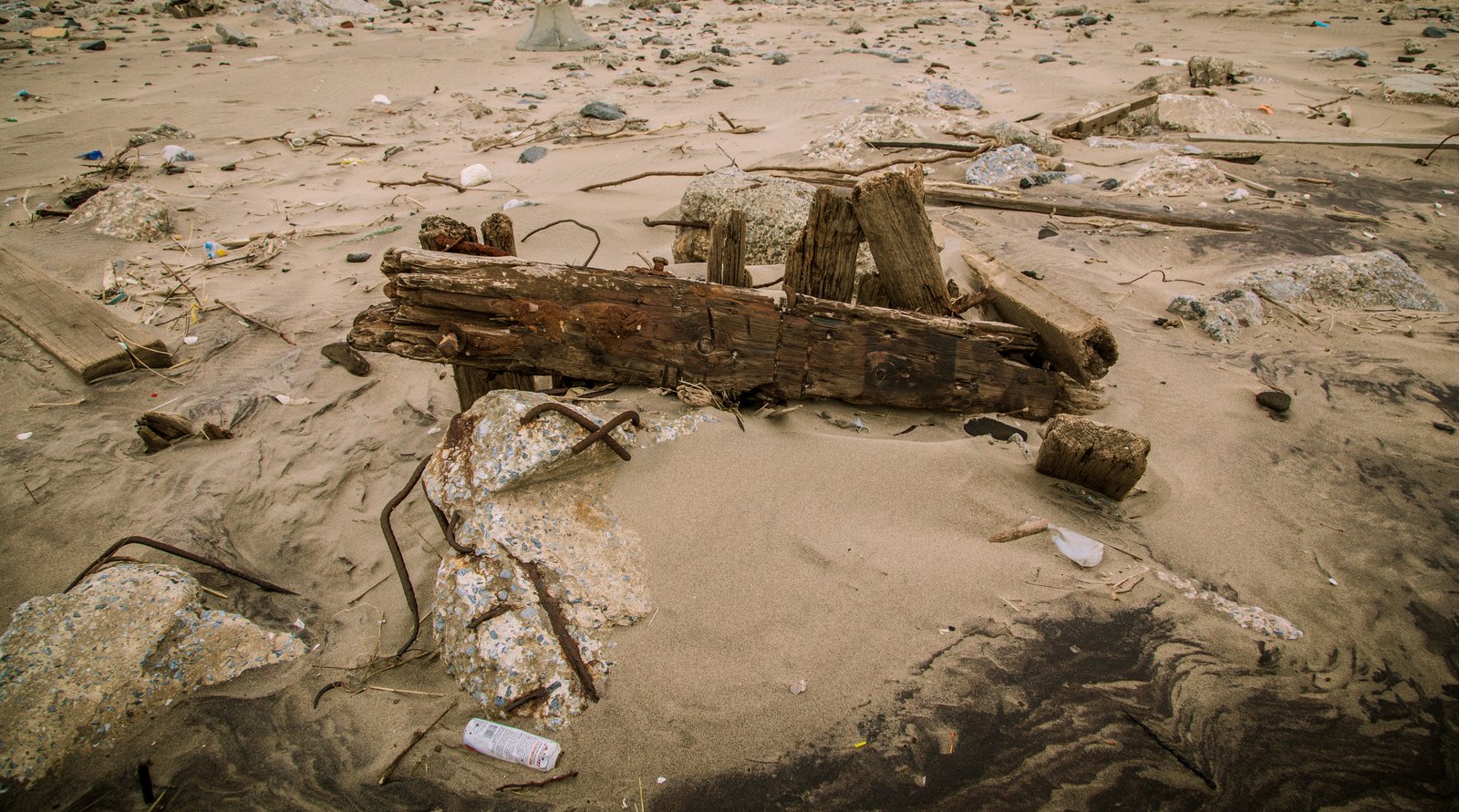 art-of-sandy-mo-seagate 2-56.jpg